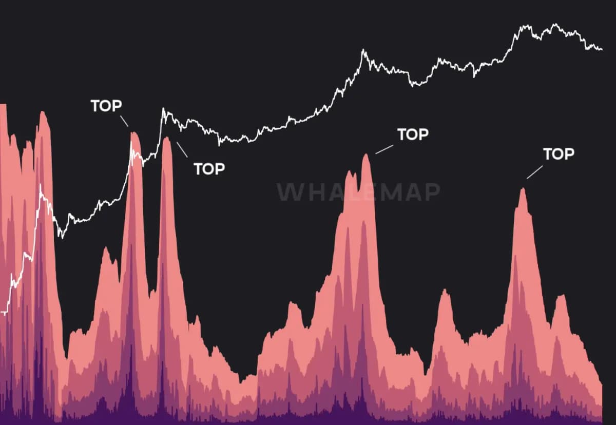 Whalemap Product Demo